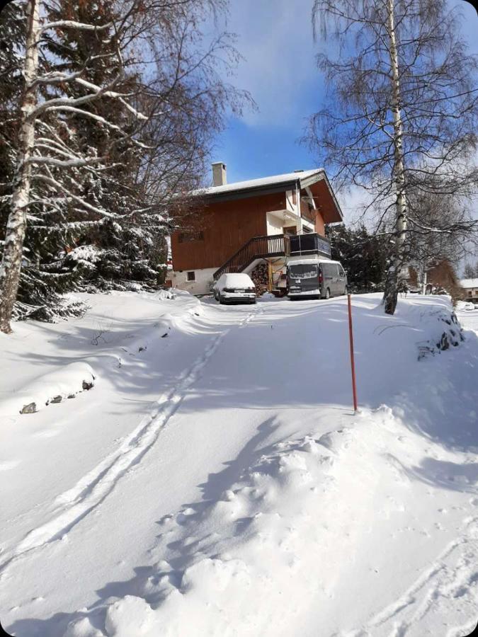 Chalet Spacieux Et Convivial La Toussuire Fontcouverte-la-Toussuire Eksteriør billede