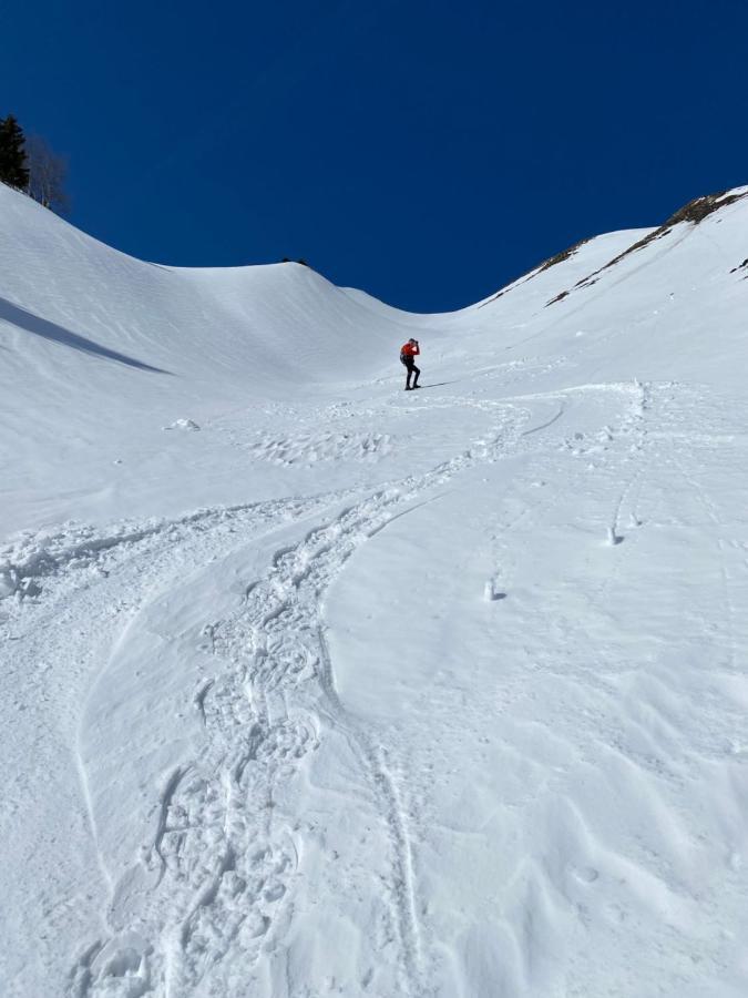Chalet Spacieux Et Convivial La Toussuire Fontcouverte-la-Toussuire Eksteriør billede